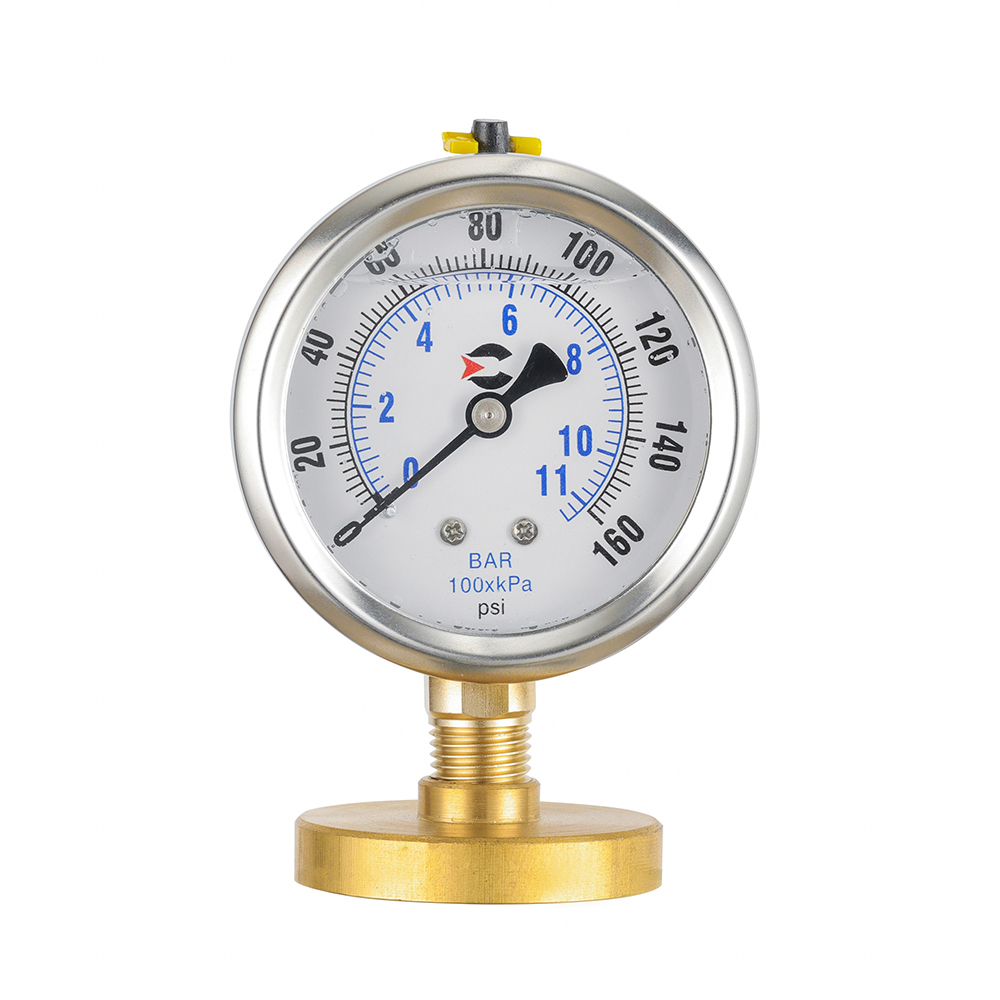 Y50 liquid filled shockproof low-pressure pressure gauge